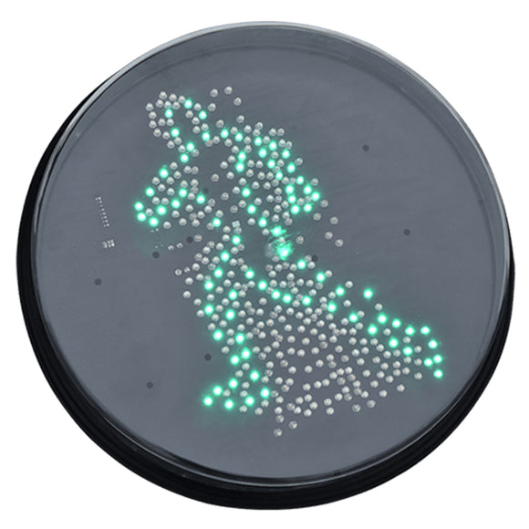LED Trafiksignallampa 200 Grön Springande Figur